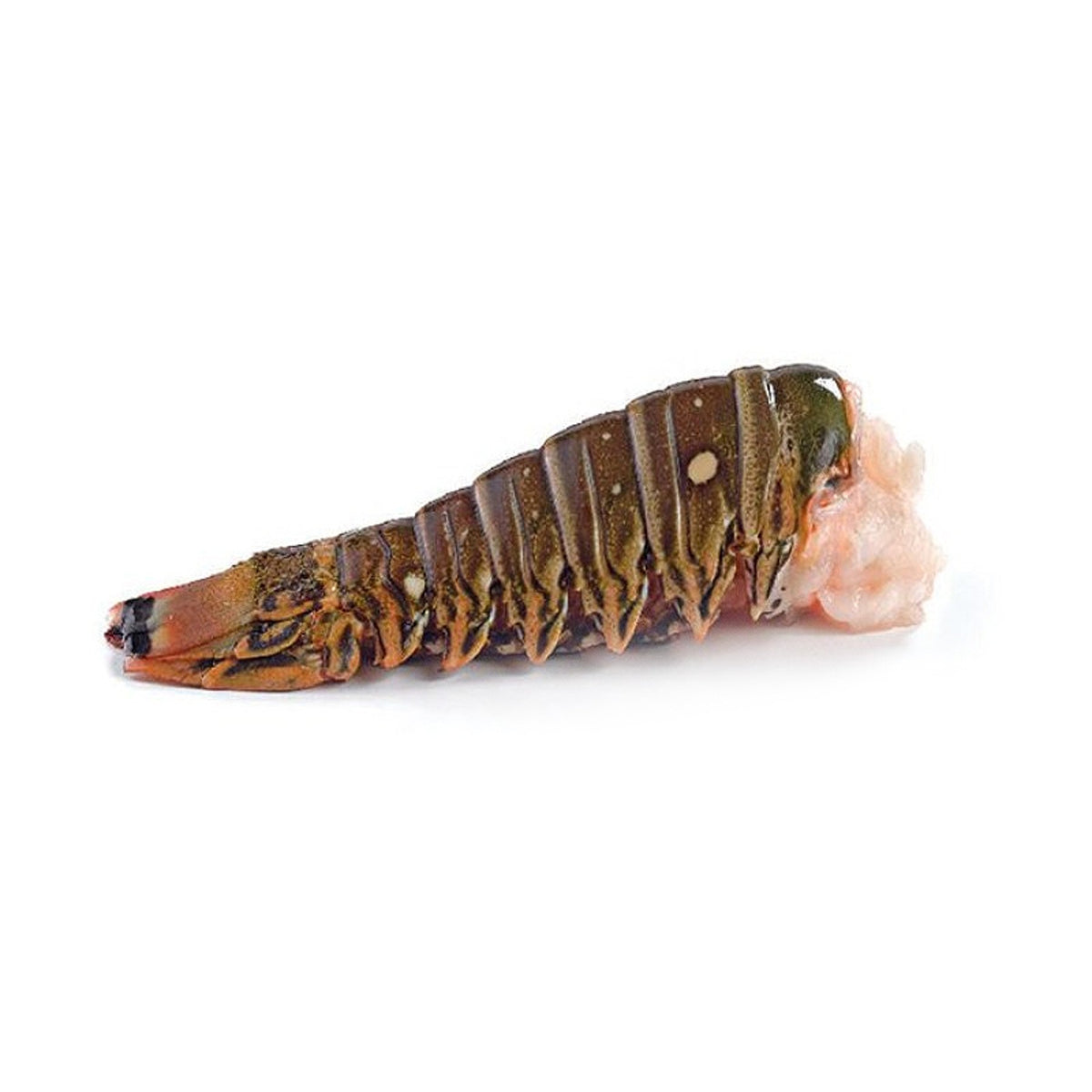 Lobster Tail Frozen 200-300g image 1