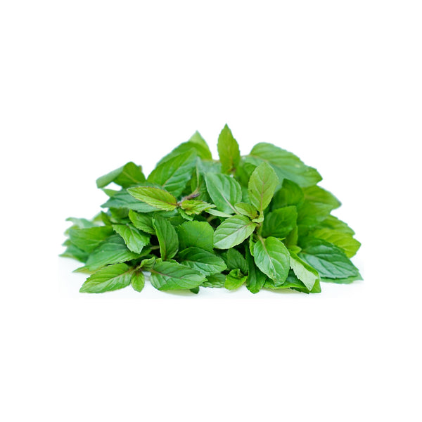 Chocolate Mint image 1