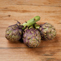 Artichokes Purple Tema from Italy image 2