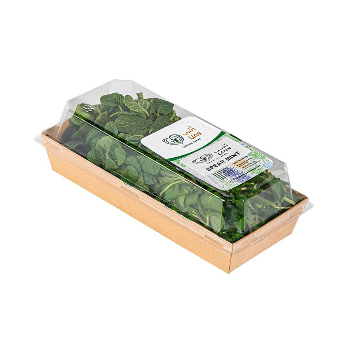Spearmint image 3