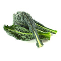 Cabbage Black from Italy image 1