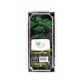 Chocolate Mint image 2