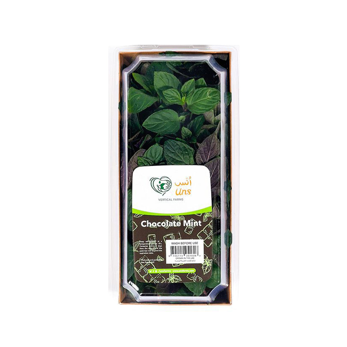 Chocolate Mint image 2