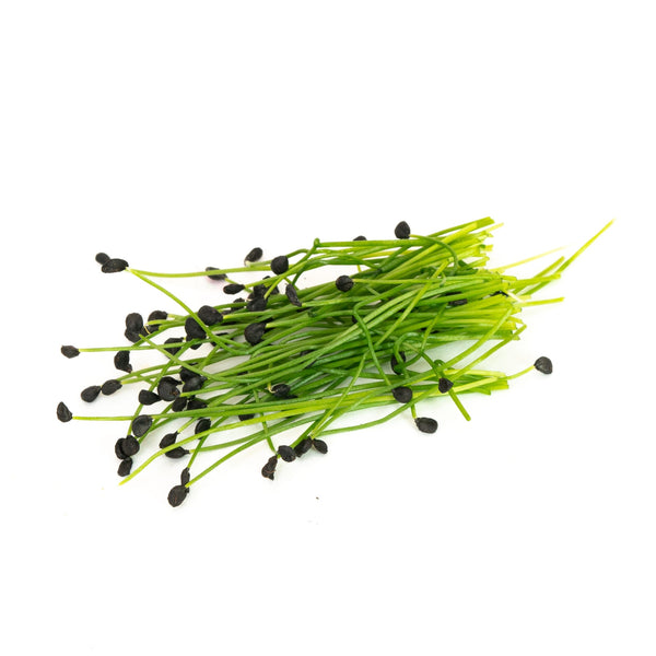Chives image 1