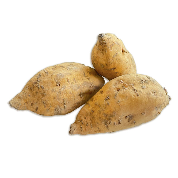 Potato Sweet from Italy image 1