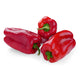 Capsicum Red from Italy image 1