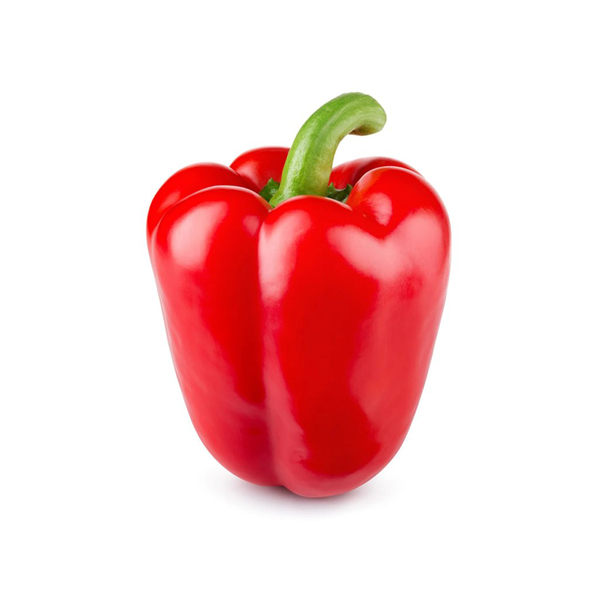Capsicum Red image 1