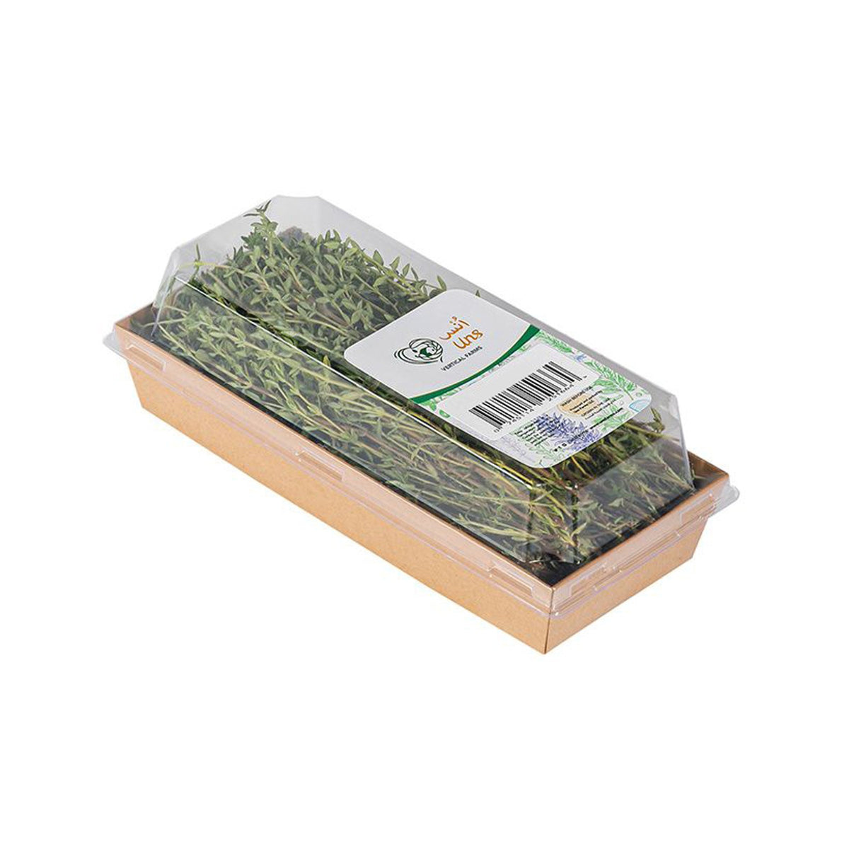 Thyme image 3