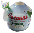 Coconut Young with Straw image 2