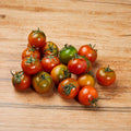 Tomatoes Camone from Italy image 2