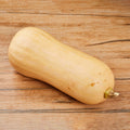 Pumpkin Butternut from Australia image 3
