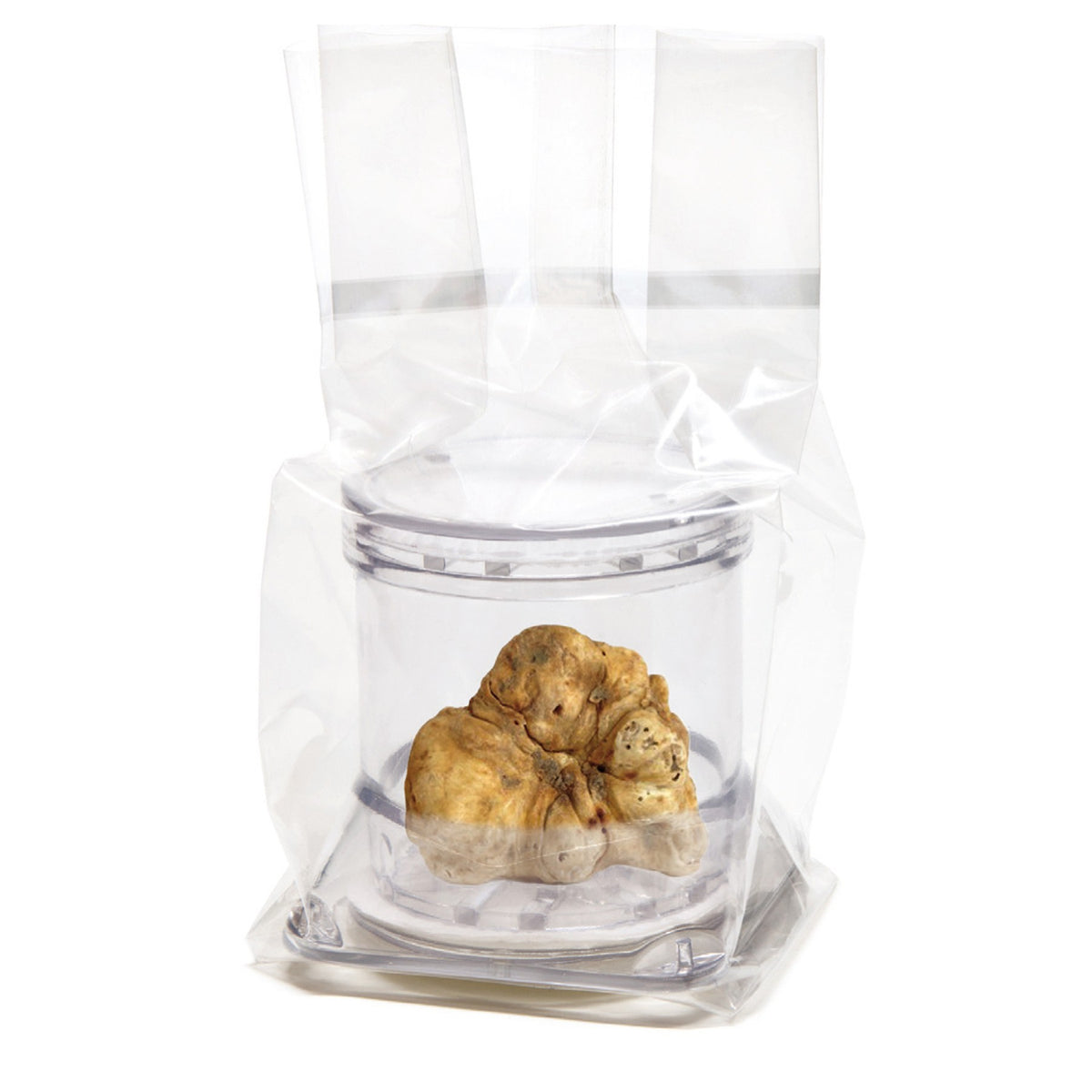 Truffle Packaging Tuber Pack 6 x 5cm image 2
