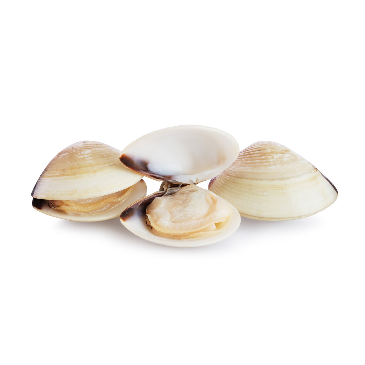 Clamshell Cooked in Own Juice Frozen 60-80pcs image 1