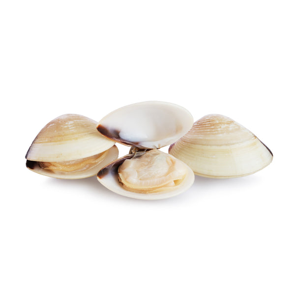 Clamshell Cooked in Own Juice Frozen 60-80pcs image 1