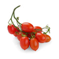 Tomatoes Piccadilly from Italy image 1