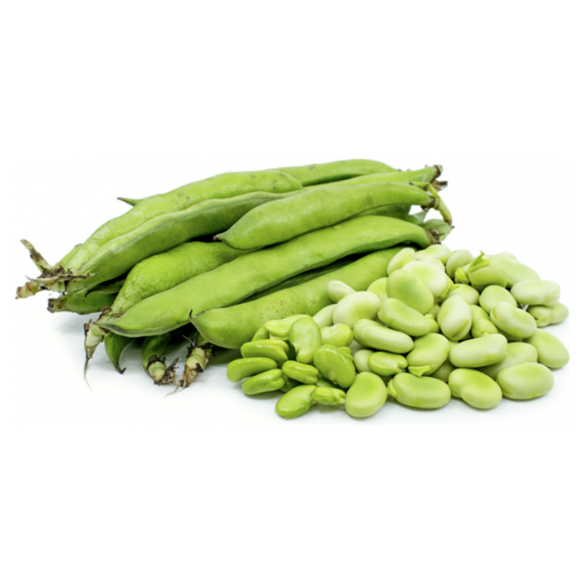Fava Broad Beans from Italy image 1
