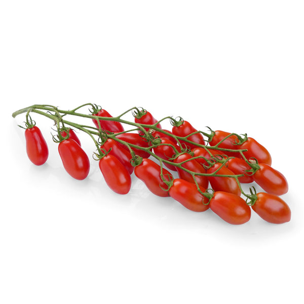 Tomatoes Datterino Sicilian from Italy image 1