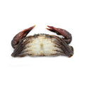 Soft Shell Crab Whole Whale Frozen 6-8pcs image 2