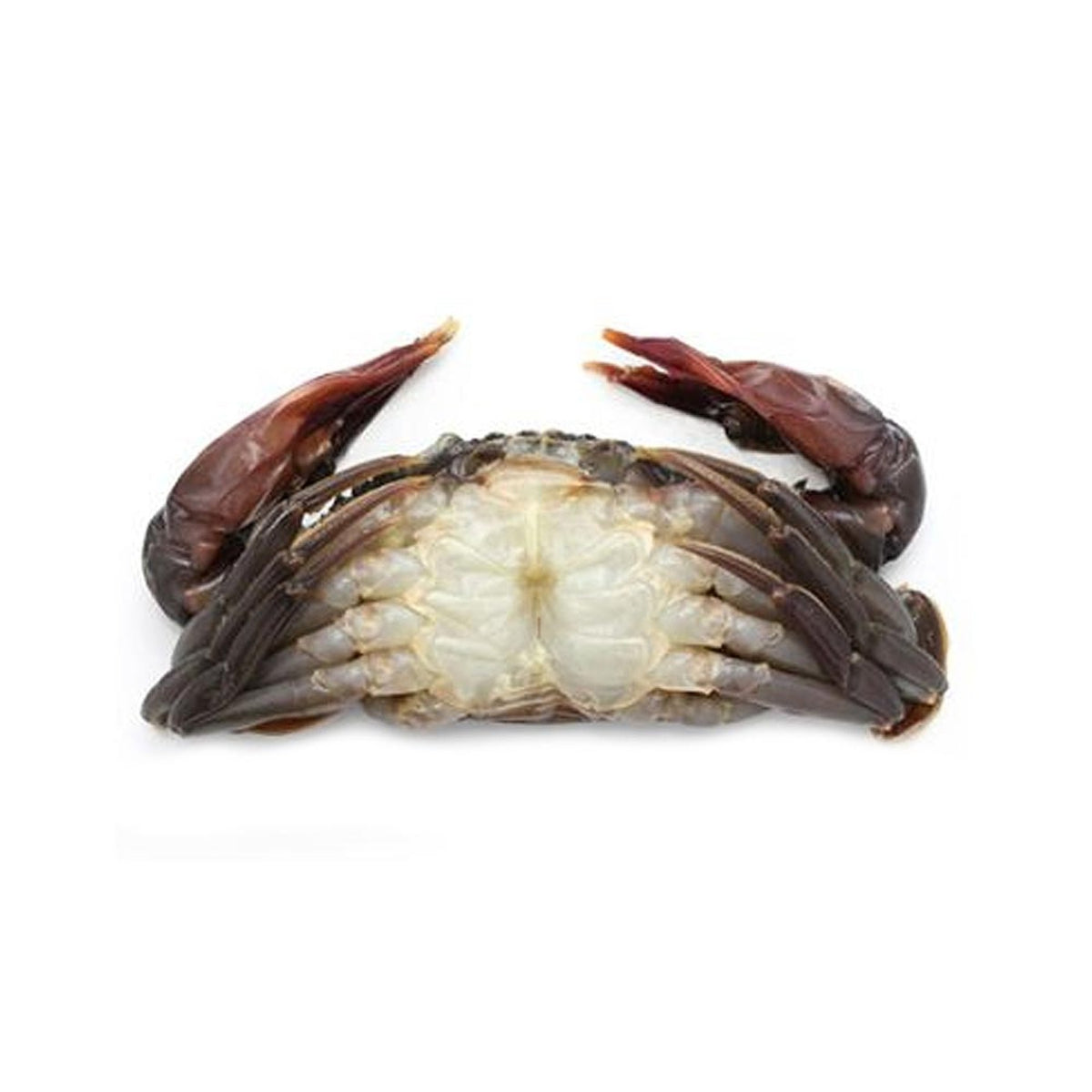 Soft Shell Crab Whole Whale Frozen 6-8pcs image 2