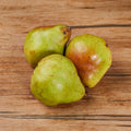 Pears Decana from Italy image 2