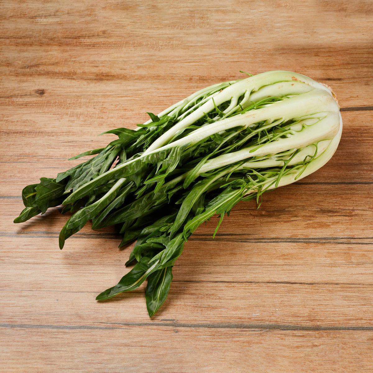 Chicory Sprout Puntarelle from Italy image 2