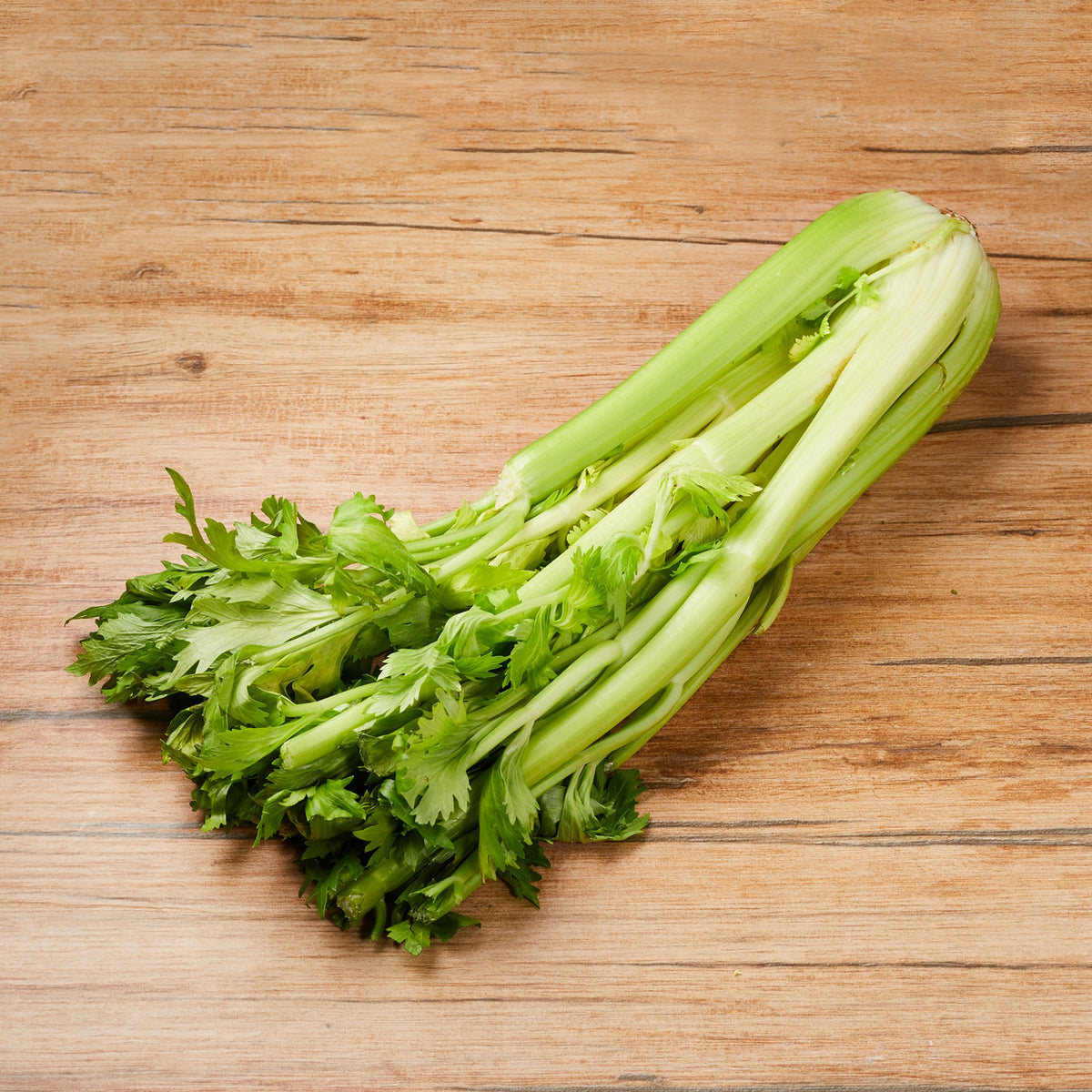 Celery from Italy image 2