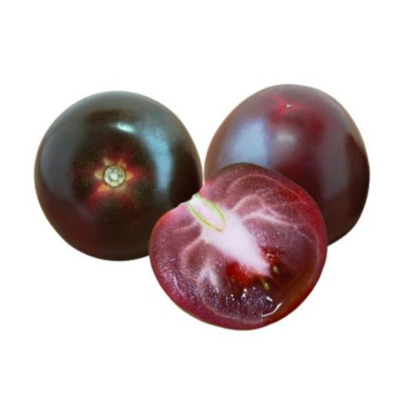 Tomato Camone Black from Italy image 1