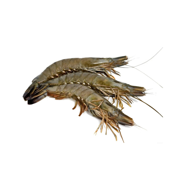 Black Tiger Shrimp Whole Small Frozen 30-40pcs image 1