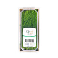Chives image 2