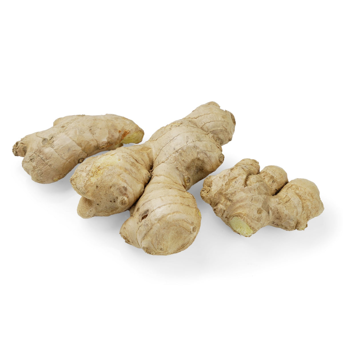 Ginger image 1