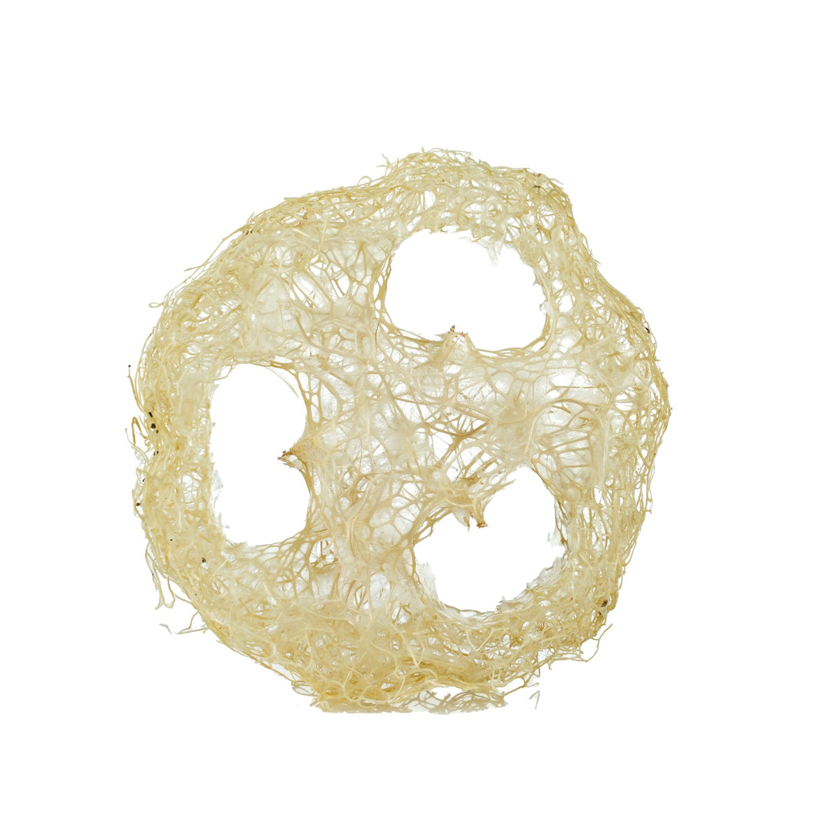Vegetable Dish Sponge Loofah image 1