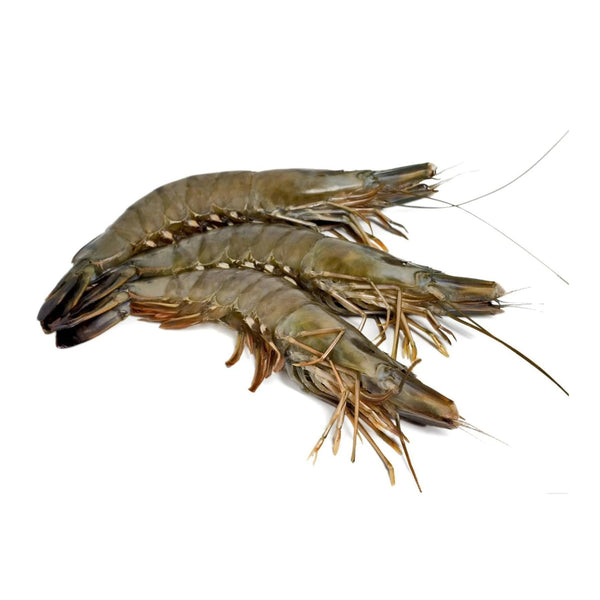 Black Tiger Shrimp Whole Very Large Frozen ∼12pcs image 1