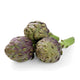 Artichokes Purple Tema from Italy image 1