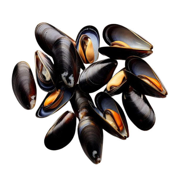 Mussels Black Cooked Frozen image 1
