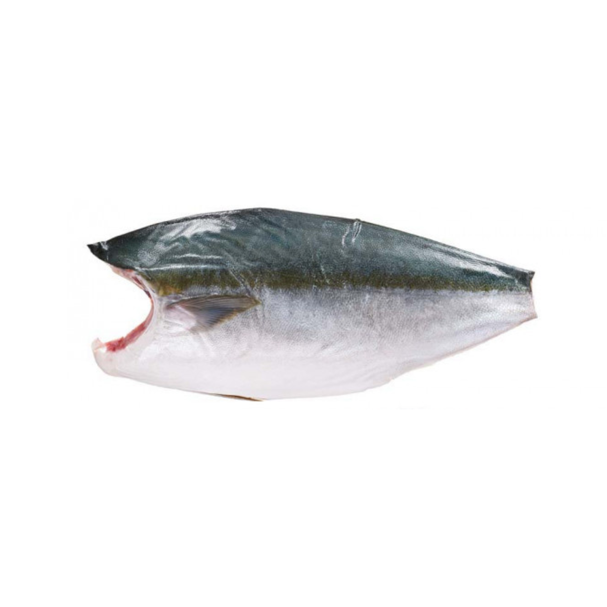 Yellowtail Hamachi Fillet Frozen image 1