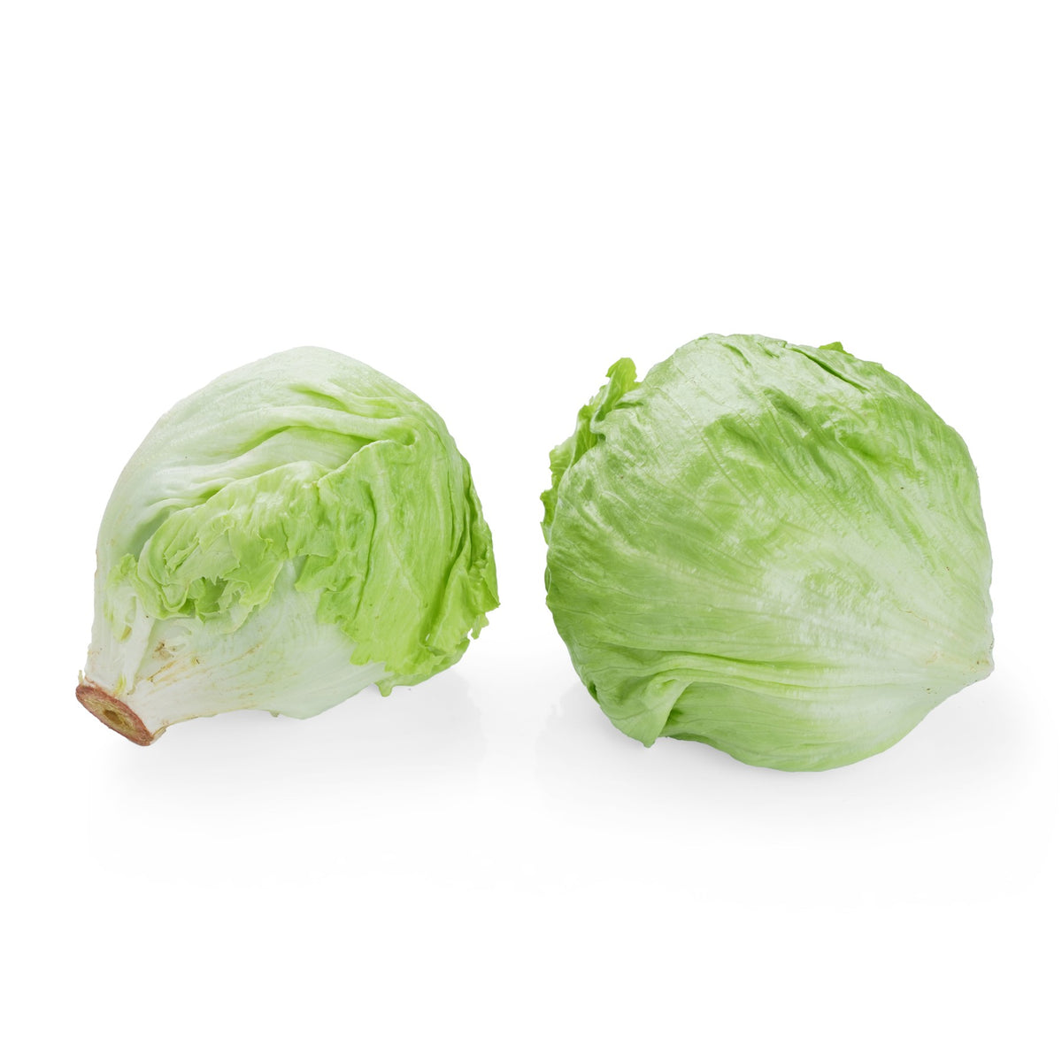 Lettuce Iceberg image 1