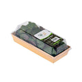 Chocolate Mint image 3