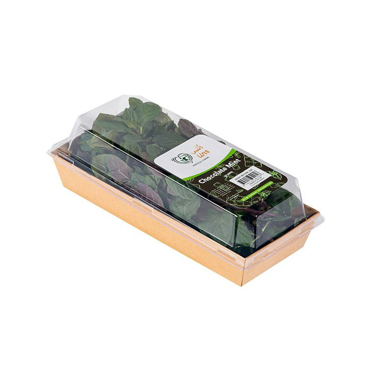 Chocolate Mint image 3