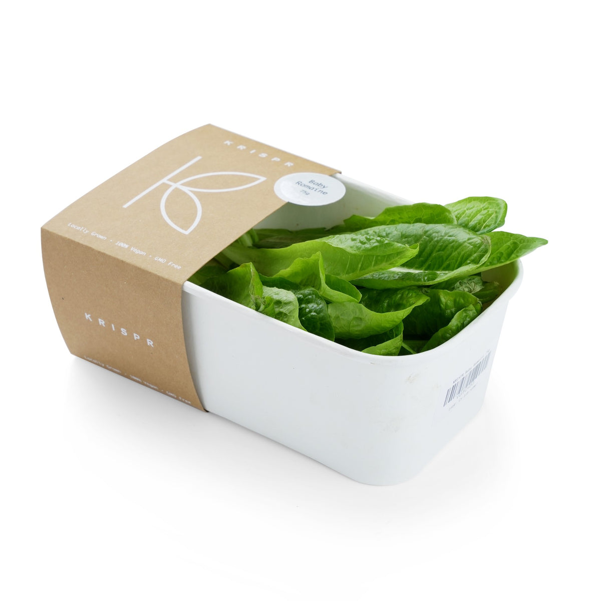 Baby Romaine image 1