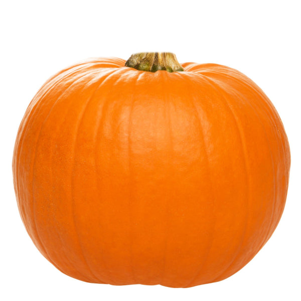 Halloween Pumpkin Large from Italy image 1