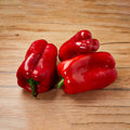 Capsicum Red from Italy image 2