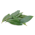 Bay Leaves from Italy image 1