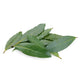 Bay Leaves from Italy image 1