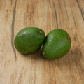 Avocado Fuerte image 4
