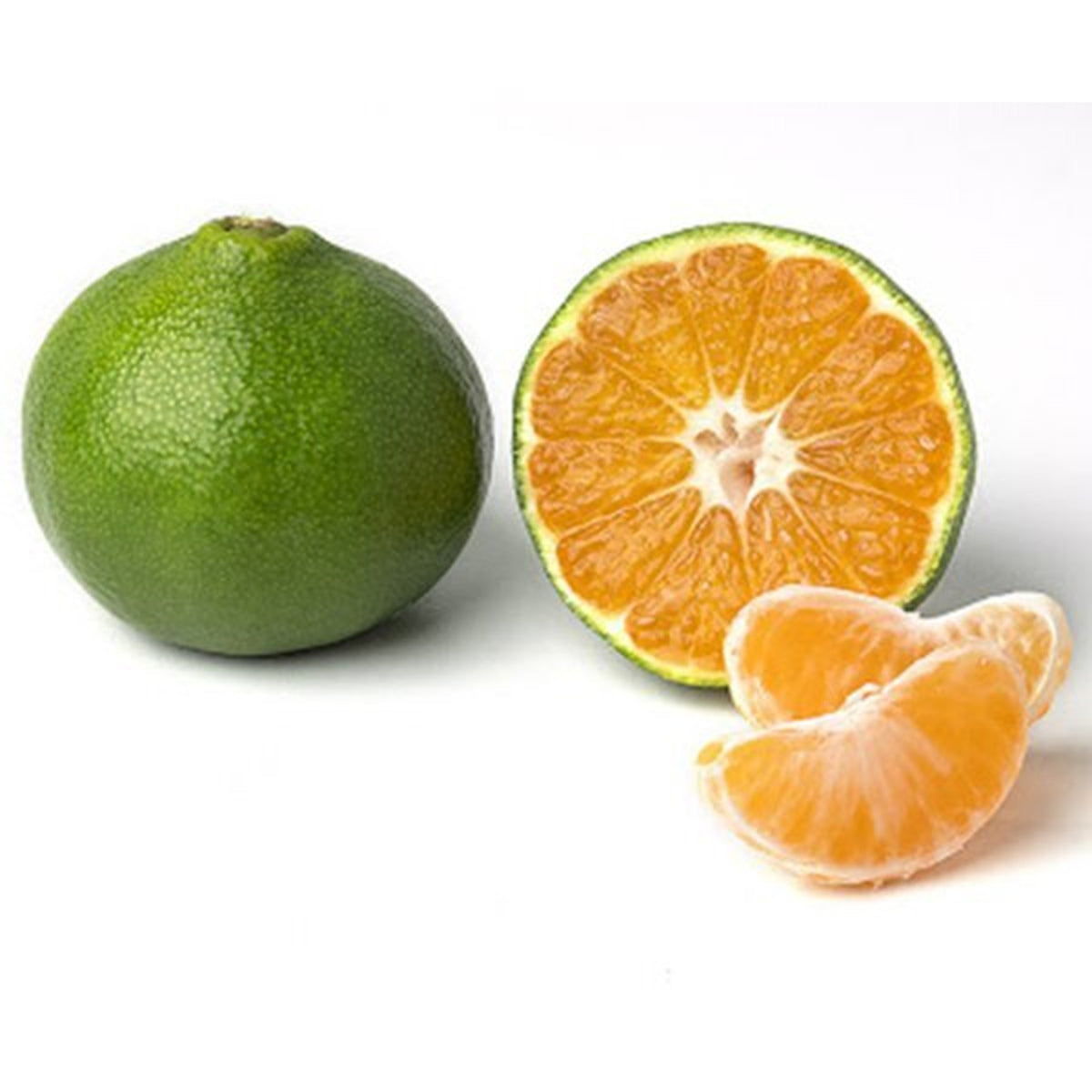 Clementine Miyagawa Seedless from Italy image 1