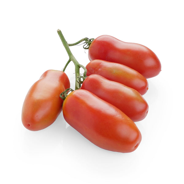Tomatoes San Marzano from Italy image 1