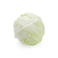 Cabbage White image 1