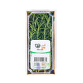 Rosemary image 2