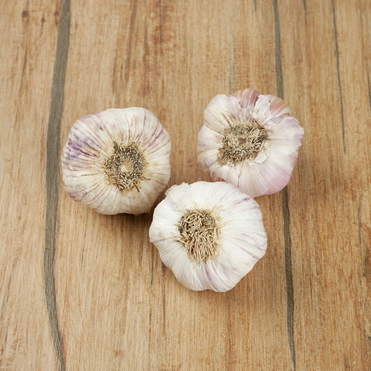 Garlic Red from Italy image 2