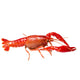 Crayfish Cooked Whole Frozen 10/20 image 1